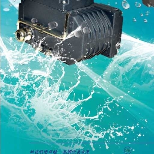 罗托克电动执行器